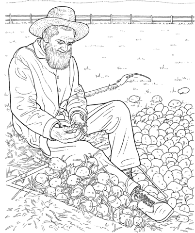 Farmer Gathering Potatoes Coloring Page